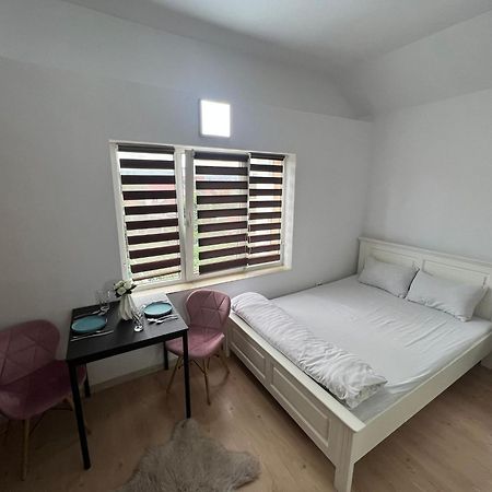 Compact House Daire Kaloşvar Dış mekan fotoğraf